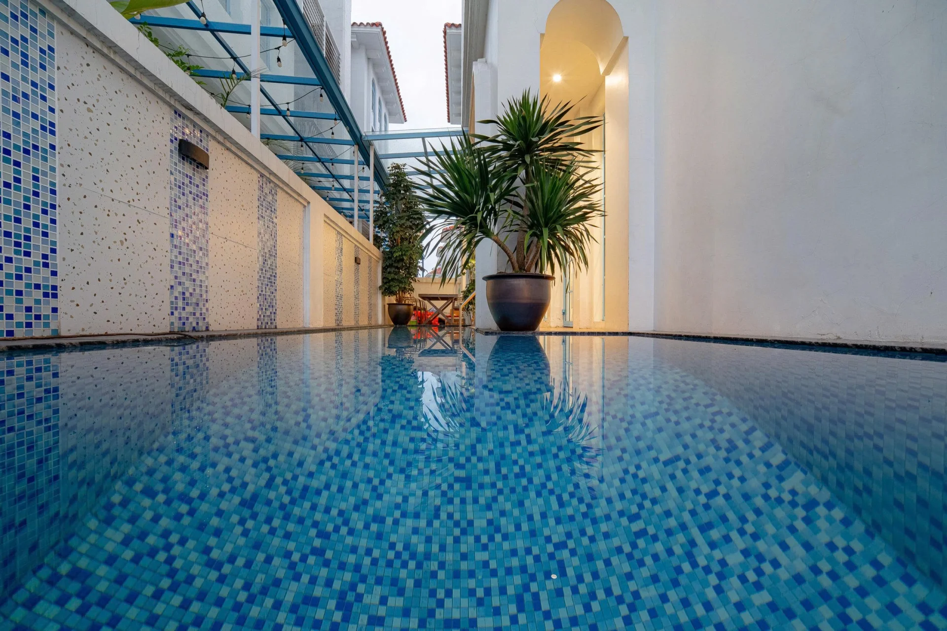 C517 Sunferia - ảnh 3