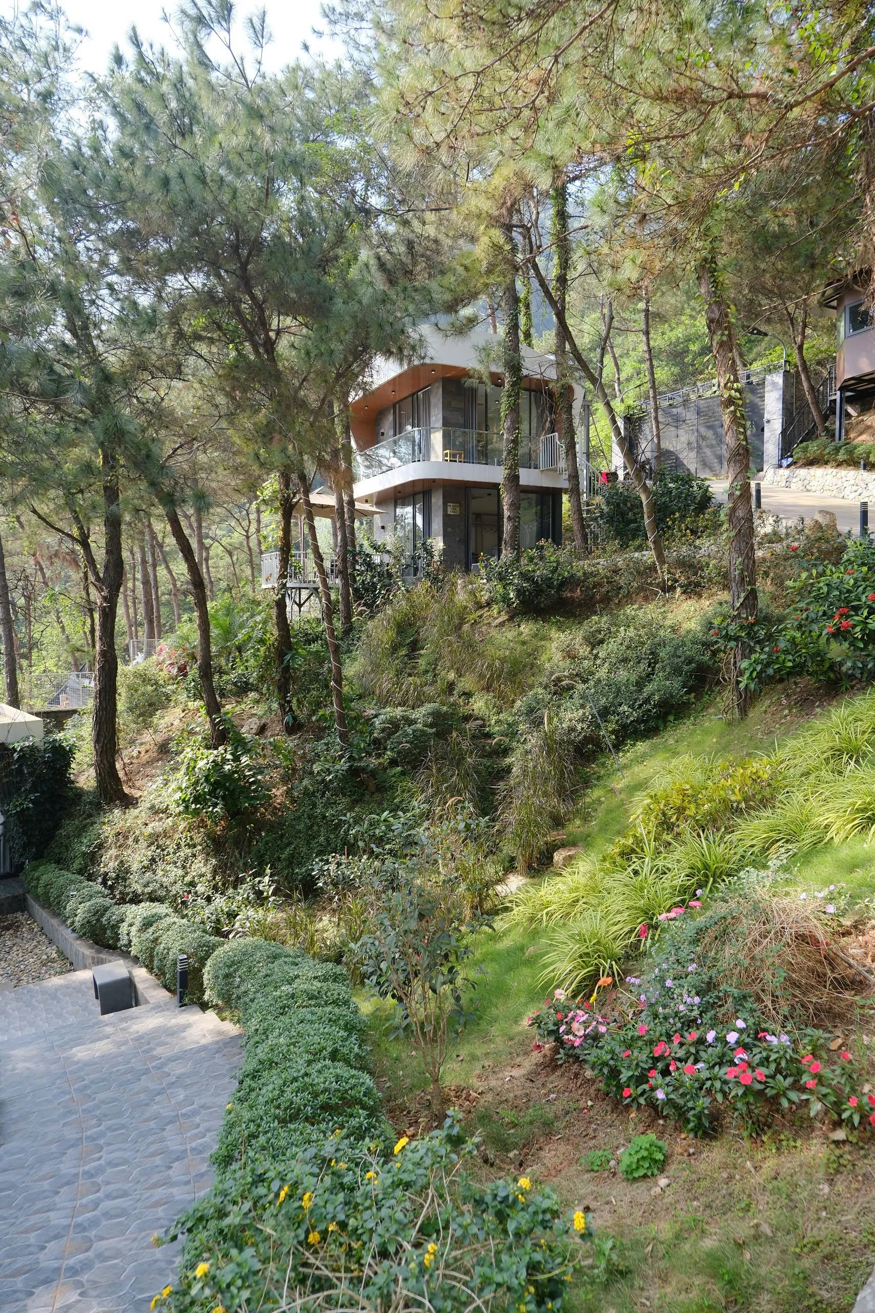 Bi TB Homestay - ảnh 3