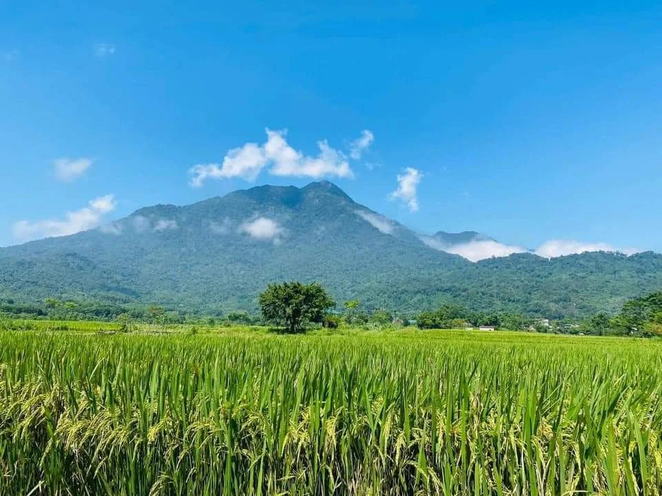 Lali Home  - ảnh 4