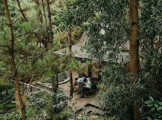 Fullhouse Choai Homestay - ảnh 5